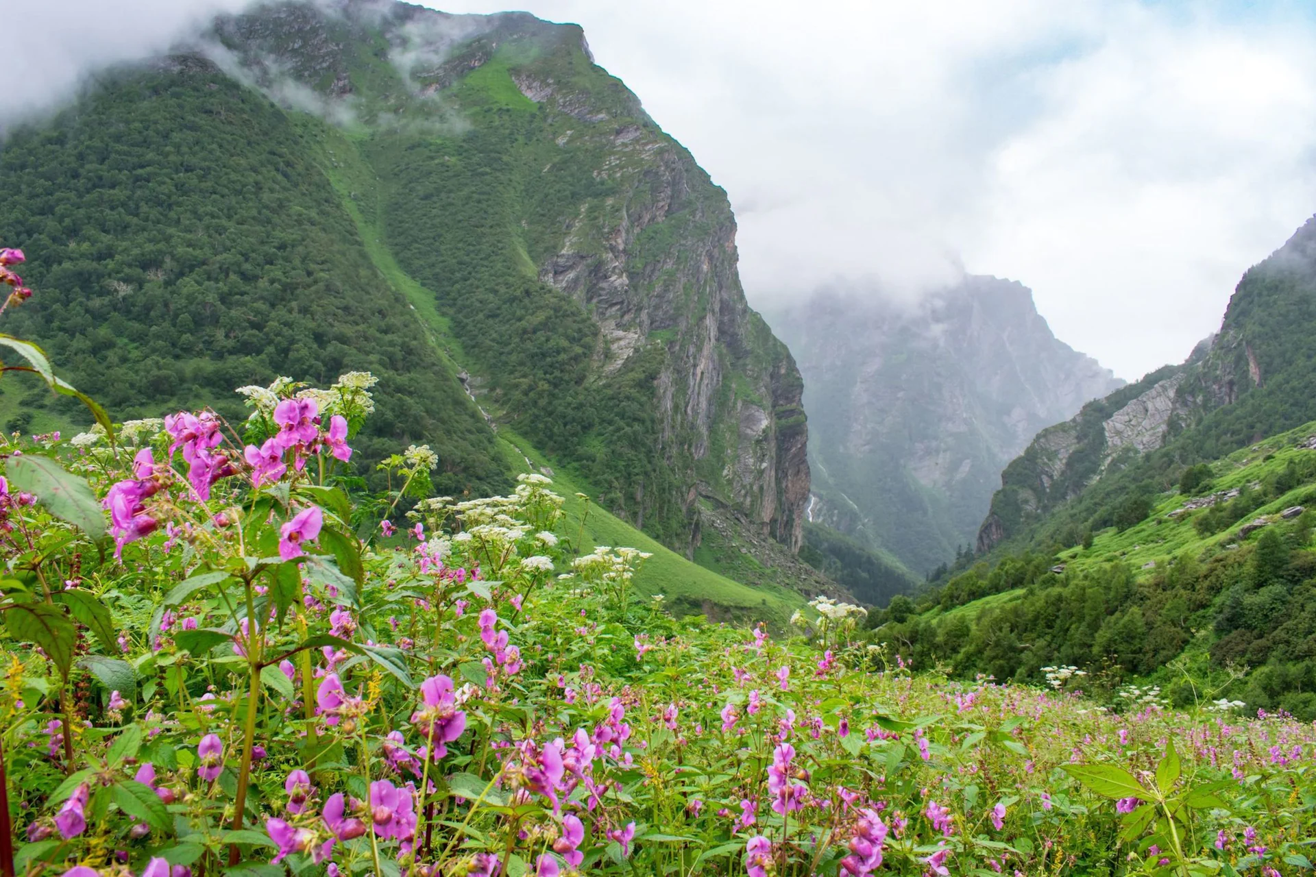 Valley-of-Flowers-Uttarakhand